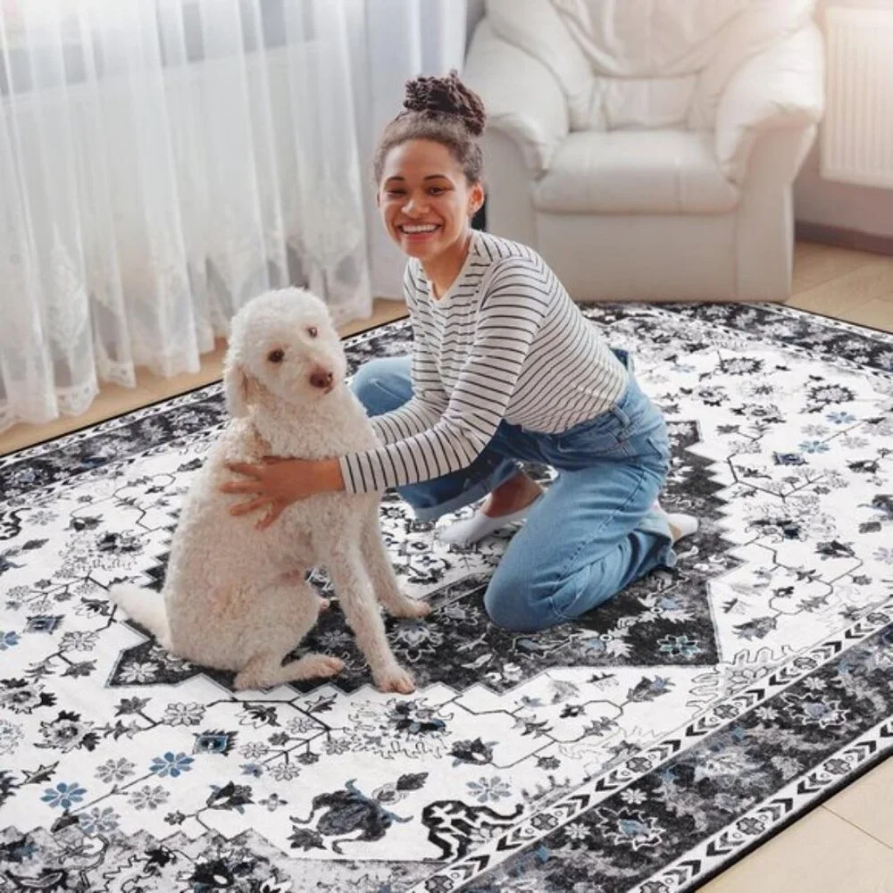 New 4x6 Vintage Area Rug, Washable Non-Slip Low Pile Carpet for Home & Office
